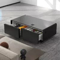 gamvity-newest-luxury-pro-version-smart-coffee-table-135l-refrigerator-tb135-black (1)